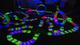 Новый Magic tracks 220 деталей